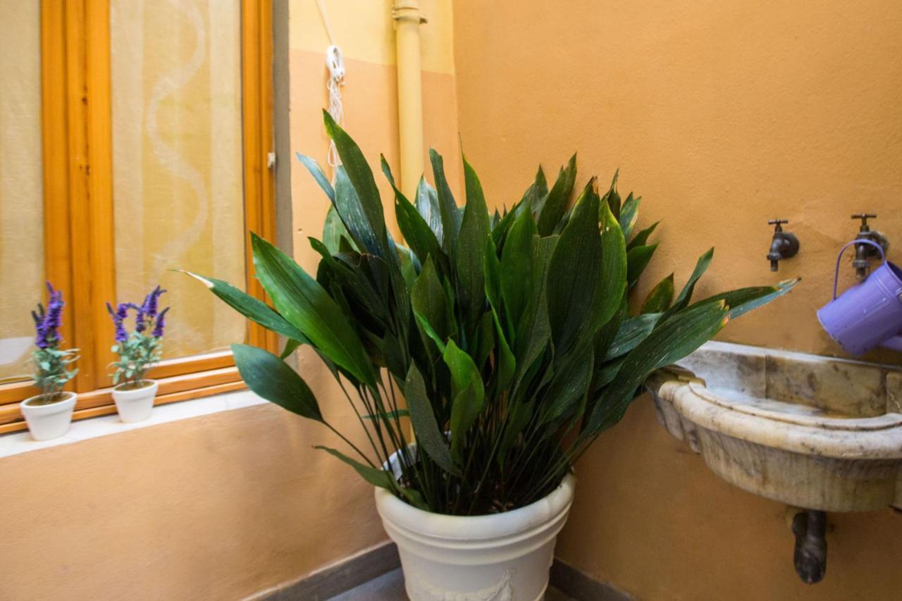 Charming Fiesolana Apartment In Heart Of Florence Florença Exterior foto